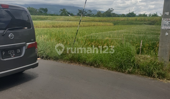 Tegalgondo Kawasan Perumahan Dan Rukost, 5.186 M2 Poros Jalan Tegalgondo Kawasan Perumahan Dan Rukost, 5.186 M2 Poros Jalan