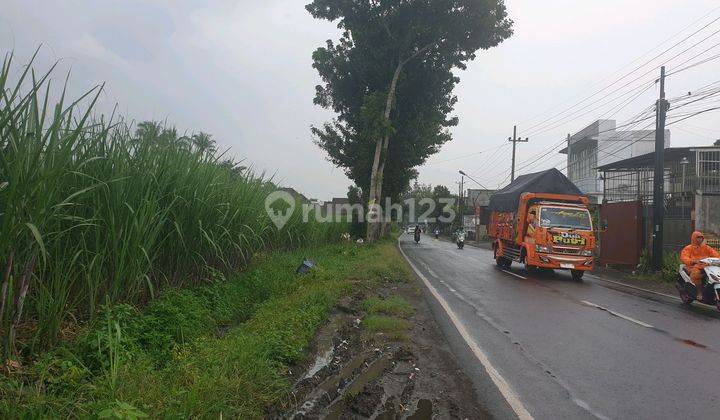 Pakisaji, 4.9 Ha Lebih Poros Jalan  1