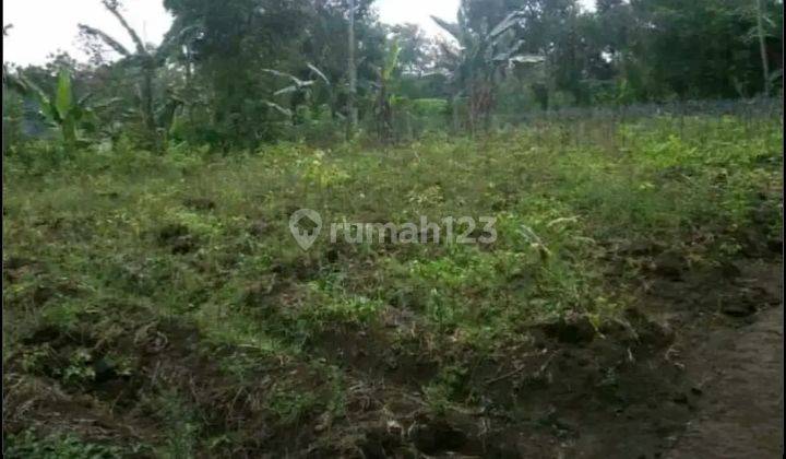 Dijual Murah Tanah di Cemorokandang Cocok Untuk Perumahan 5