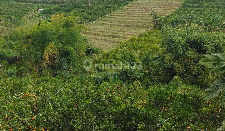 Tanah Zona Kuning di Dau Cocok Untuk Perumahan  2