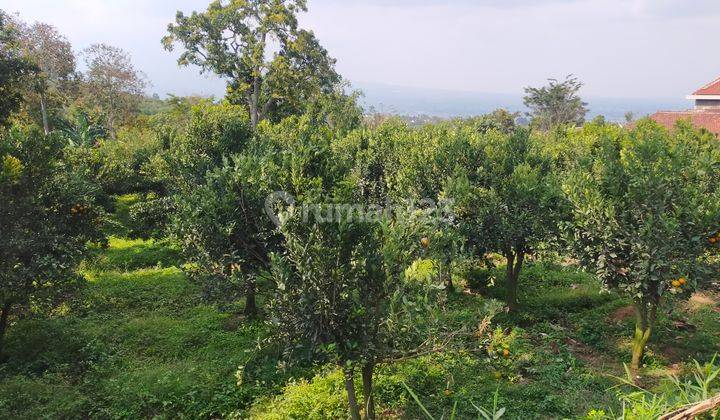 Tanah Kering di Selorejo Dau. Dekat dengan Wisata Bedengan 1