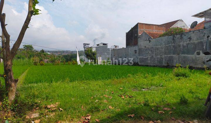 Lahan Sawah Cocok Untuk Rumah Kos di Merjosari 2