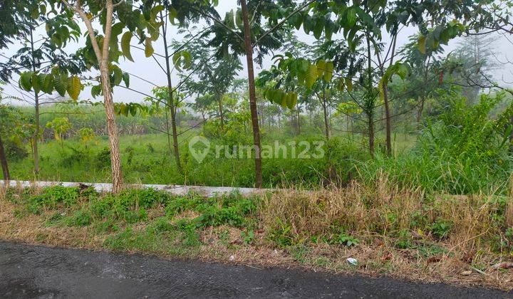 Dijual Lahan Kering Di Desa Precet Dau Malang 1