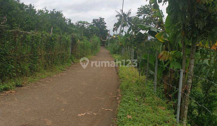 Kebun Jeruk Dekat Kampus Ub 3.039 M2 Harga 1.250.000 Per M2 1