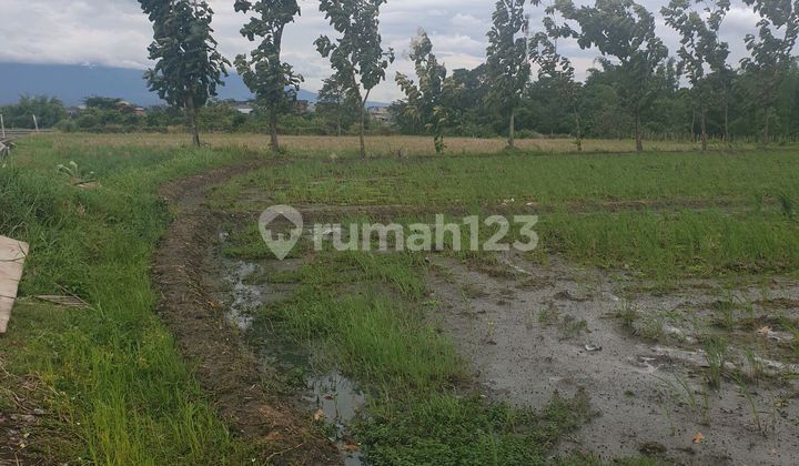 Jalan Atletik,cocok Buat Perumahan Atau Rukost, Masuk Kodya Malang Jalan Atletik,cocok Buat Perumahan Atau Rukost, Masuk Kodya Malang
