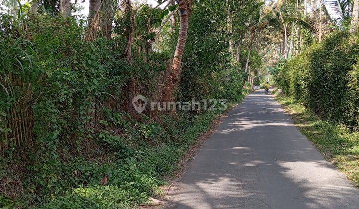 Kebun Jeruk Poros Jalan Akses Mobil Luas 5.413 M2 Shm 375 Ribu Per Meter Nego Tipis 1