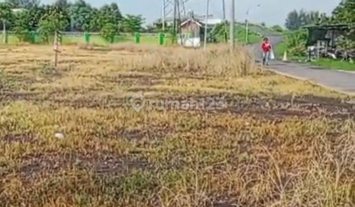Tanah Dekat Toll Pasuruan Cocok Untuk Perumahan Dan Peruntukan Lainnya 1