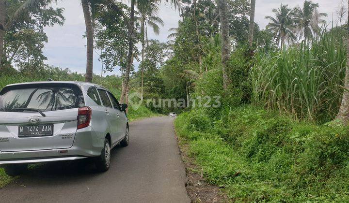 Tanah Kebun Di Poncokusumo Poros Jalan Aspal 1