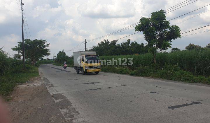Mojokerto Luas 8.369 M2 Poros Jalan Di Kecamatan Puri. Mojokerto 1