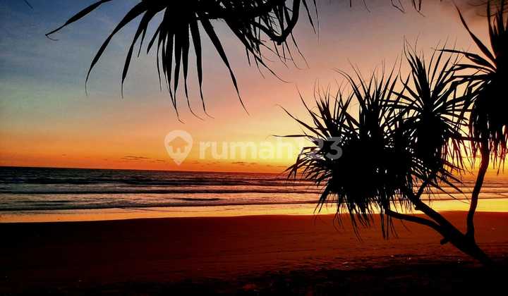 Jual Tanah DI Jembrana Bali Barat SHM 5600m2 (026) Jual Tanah DI Jembrana Bali Barat SHM 5600m2 (026)