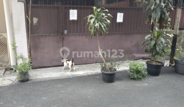 Jual Rumah Murah Jakarta Pusat 1