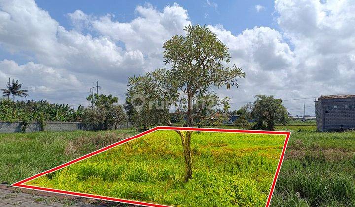 Dijual Tanah Kavling Lingkungan Asri Lintasan Denpasar-Gianyar Dengan Pemandangan Sawah 1