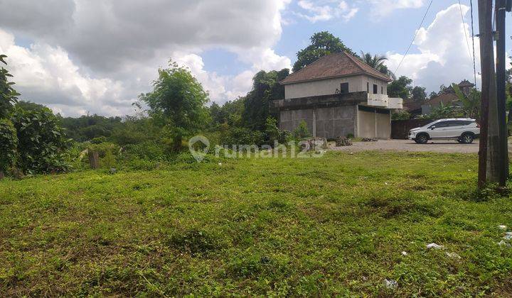 Ruko Dijual dengan Tanah Luas di Jl. Raya Tabanan-Gilimanuk. Hitung Tanah Saja, Bangunan Ruko Free 6