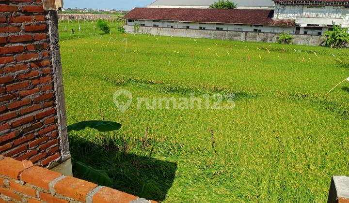 Rumah Baru Desain Modern di Jalur Denpasar-Kuta, Bali 6