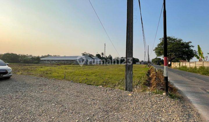 Di Murah Tanah Industri Curug Legok Tangerang Pinggir Jalan Raya Luas 2800 Hadap Selatan 2