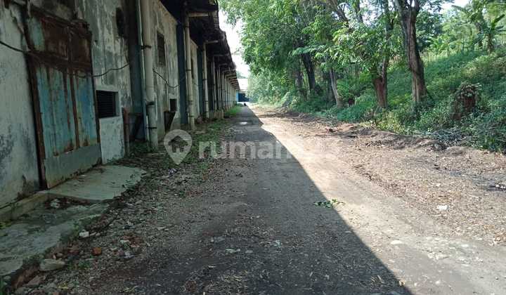 Disewa Gudang 12.000m2 Ex Pabrik Jatiluhur Purwakarta Jawa Barat 2