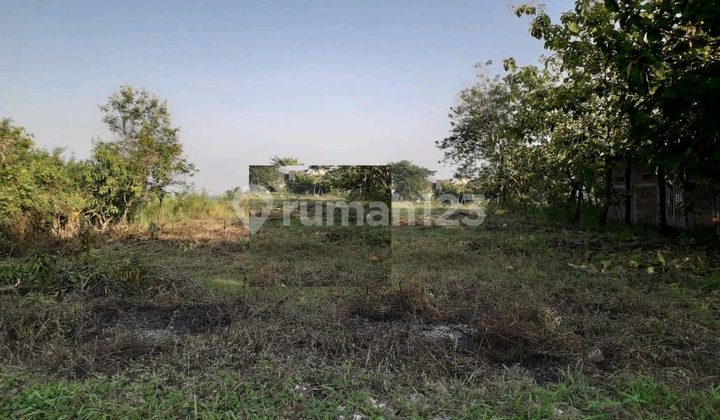Land for Sale in Dakon Ngraseh Dander Bojonegoro Ron.a1825 Land for Sale in Dakon Ngraseh Dander Bojonegoro Ron.a1825