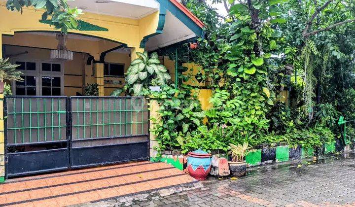 Dijual Rumah Wiguna Timur Surabaya Ron.a534 1