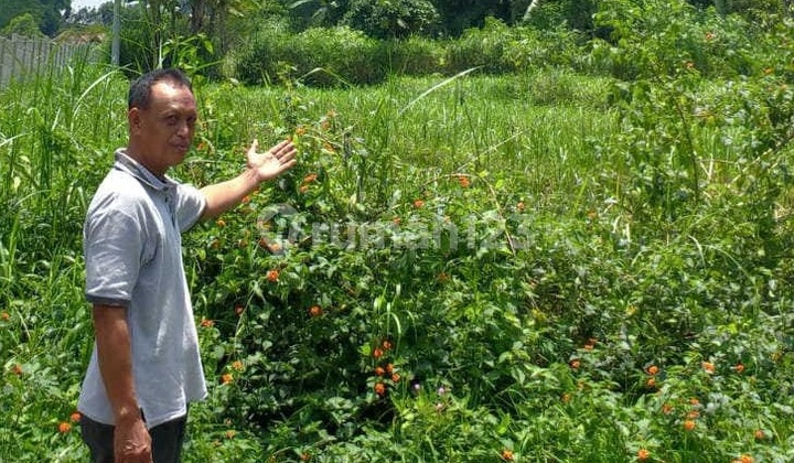 For Sale Land in Strategic Tourism Area of Batu City, Malang Ron.a130