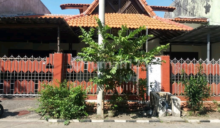 Dijual Rumah Kertajaya Indah Tengah Mulyorejo Surabaya Ron.a1748 Dijual Rumah Kertajaya Indah Tengah Mulyorejo Surabaya Ron.a1748