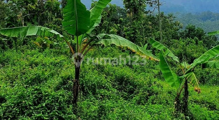 Land for Sale Trawas Mojokerto Plot.a1282