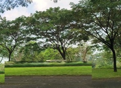 Dijual Tanah Kavling Taman Dayu Pasuruan Ron.a1560