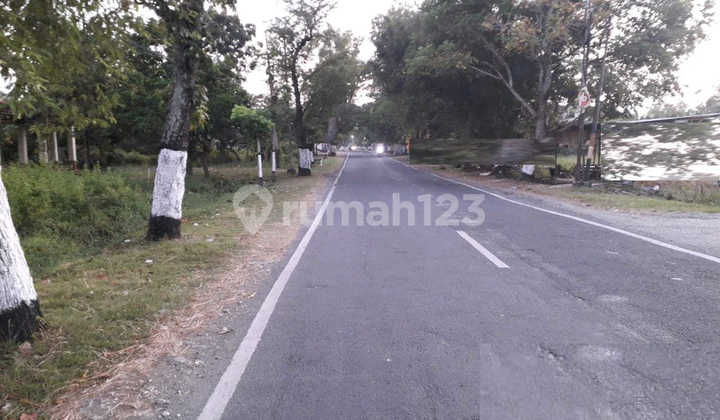 FOR SALE DAKON NGRASEH DANDER BOJONEGORO BLOCK A1825 LAND FOR SALE DAKON NGRASEH DANDER BOJONEGORO BLOCK A1825 LAND