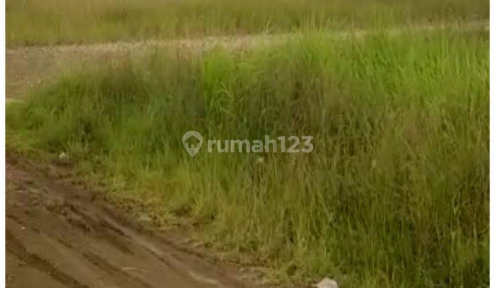 Dijual Cepat Nego Murah Lahan Luas Ijin Industri Di Tarumajaya 2