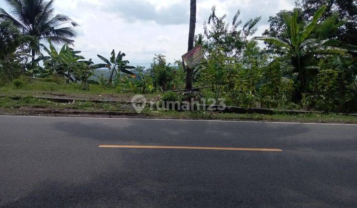 Dijual kavling pinggir jalan di bojonggaling pelabuhan ratu kecamatan bantargadung  suka bumi jawa barat 1