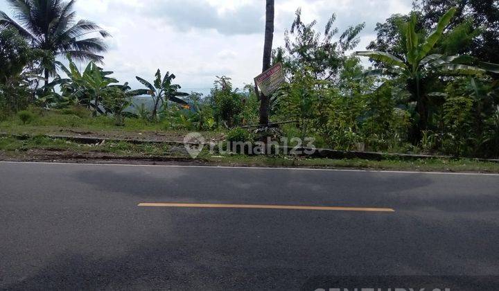 Dijual Kavling Pinggir Jalan Di Bojonggaling Pelabuhan Ratu  2