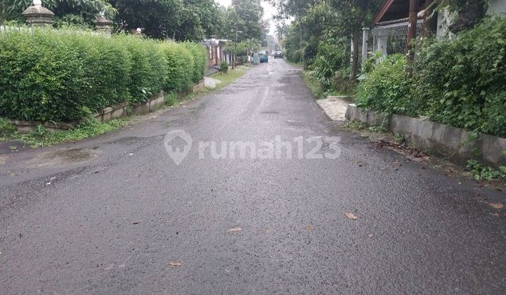 Jual Rumah Bagus.baru.gaya Villa Tropis Ditengah Kota Bogor.daerah Elite Jln Pajajaran Cumaselangkah Aja.3 Menit Dari Exit Tol