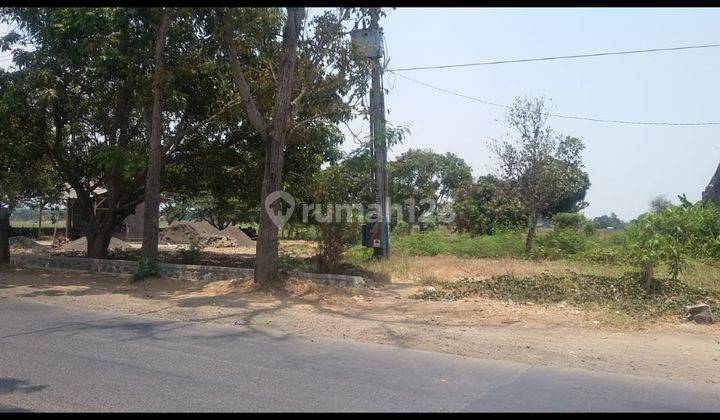 Tanah darat lokasi pinggir jalan cocok untuk Gudang, spbu dan usaha 3