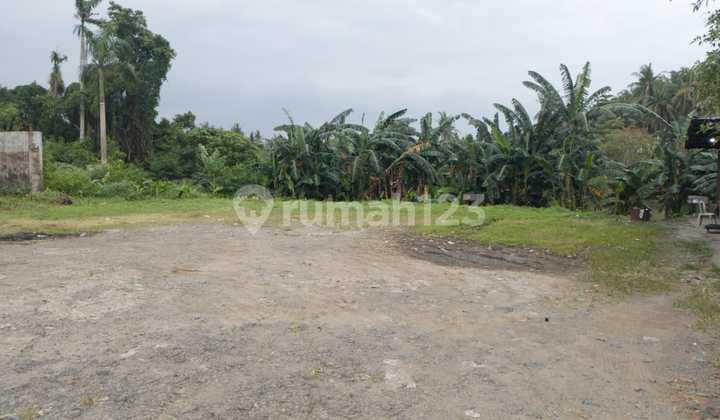 lease land teluk naga