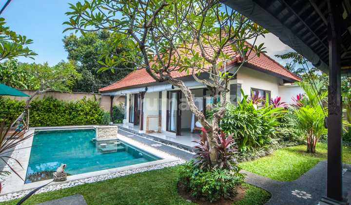 Murah Tapi Mewah Villa di Canggu Murah Tapi Mewah Villa di Canggu