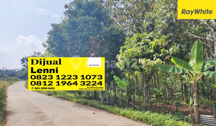 Kavling Murah cocok utk Lahan Bisnis di Ds Sajira Lebak- Banten Kavling Murah cocok utk Lahan Bisnis di Ds Sajira Lebak- Banten