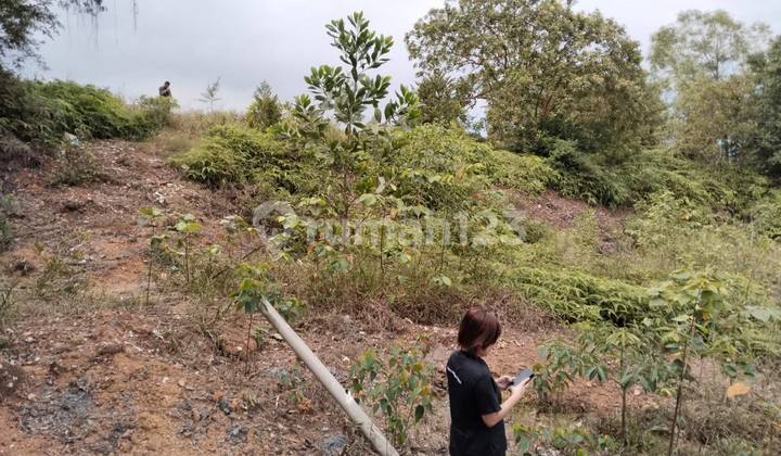DIJUAL Kavling Peruntukan Perumahan Di Sekupang Tanjung Pinggir...