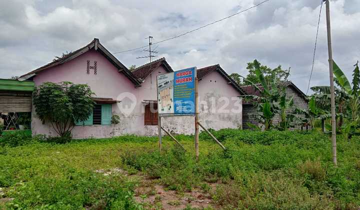 Jual Kavling Pekarangan Harga Murah Siap Bangun Segera  7