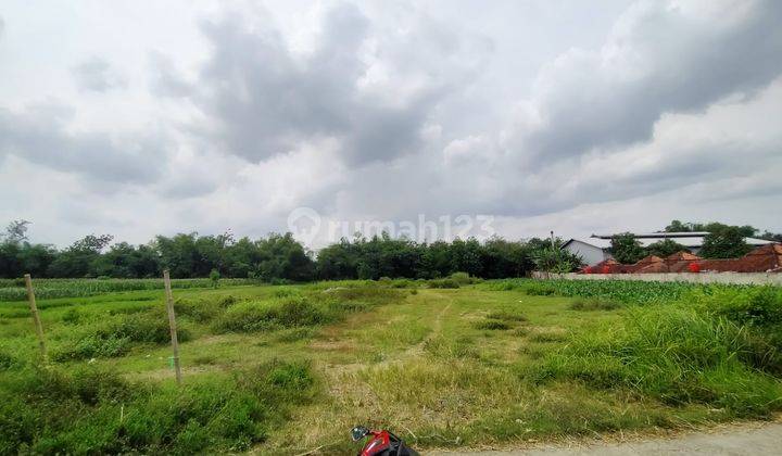 Cocok Dibangun Pabrik Tanah Murah 800rb m2 Utara Jl. Jogja Solo 2
