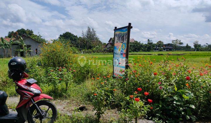 Tanah Pekarangan Siap Bangun Dijual Murah di Ceper Klaten  5