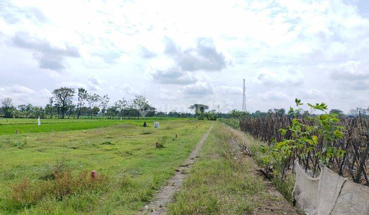 Tanah Pekarangan Siap Bangun Dijual Murah di Ceper Klaten  1