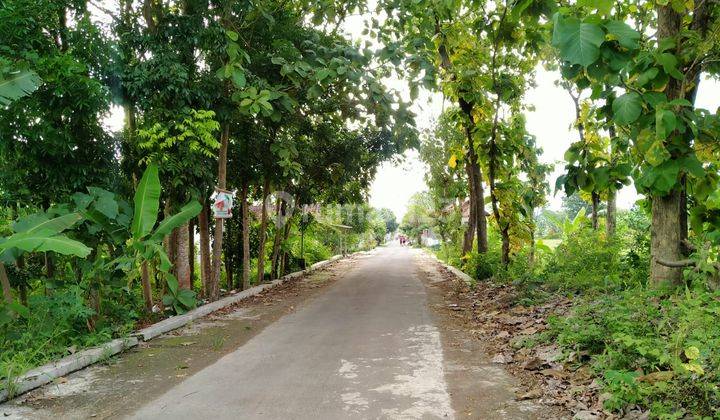 Jual Rumah Siap Huni di Jogonalan Dekat Sma N 2 Klaten  6