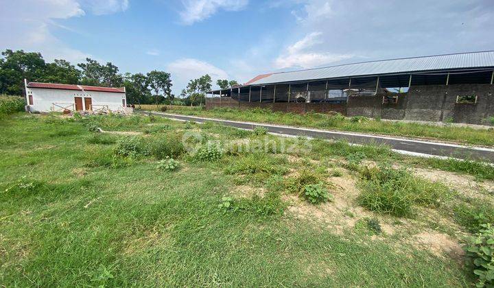 Dijual Rumah Murah di Ceper 275 Juta Siap Kpr 8