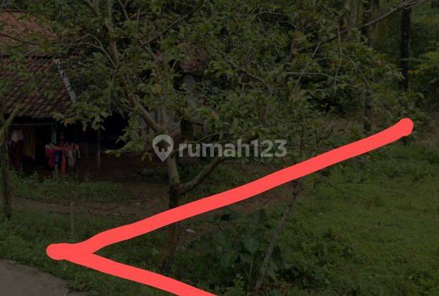 Dijual cepat tanah di Jalan raya utama cibarusah ridogalih bekasi kabupaten 1100 m² 3