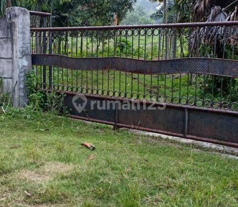 Dijual Tanah Untuk Perkebunan Peternakan Di Cileungsi Bogor SHM 4