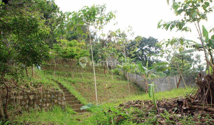 Dijual tanah cocok untuk dijadikan cafe atau restoran 2