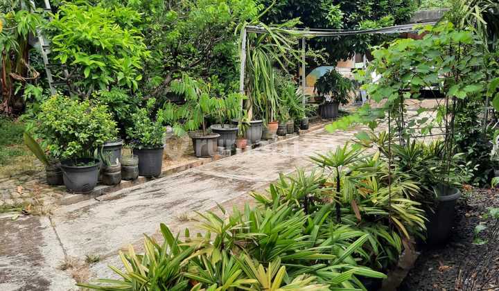 Prime Location Land in Lubang Buaya Prime Location Land in Lubang Buaya