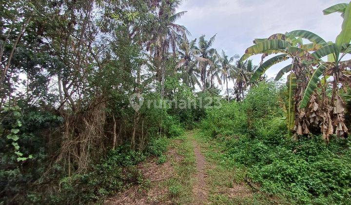 For Sale Tanah View Sawah & Laut Medahan Gianyar Bali 2