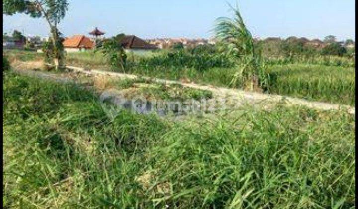 Land For Rent Suitable For Villa View Rice Fields In Canggu Bali 1