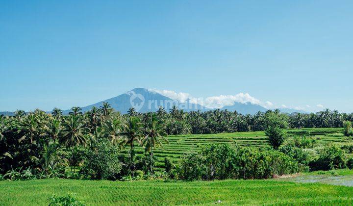 Villa View Sawah Bebas Polusi Di Kerambitan Tabanan 1