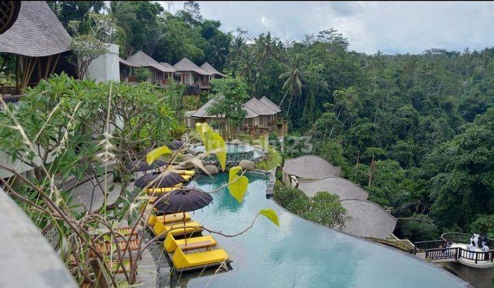 For Sale Luxury Resort  5 Star Ubud 475 Milyar  2